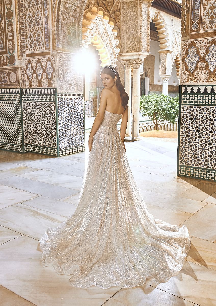 Pronovias Bimmah Brautkleid