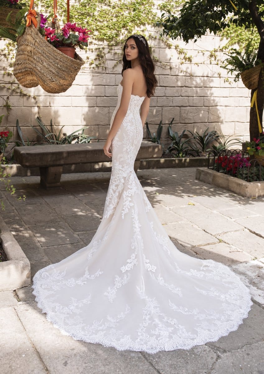 Pronovias Aegir Brautkleid