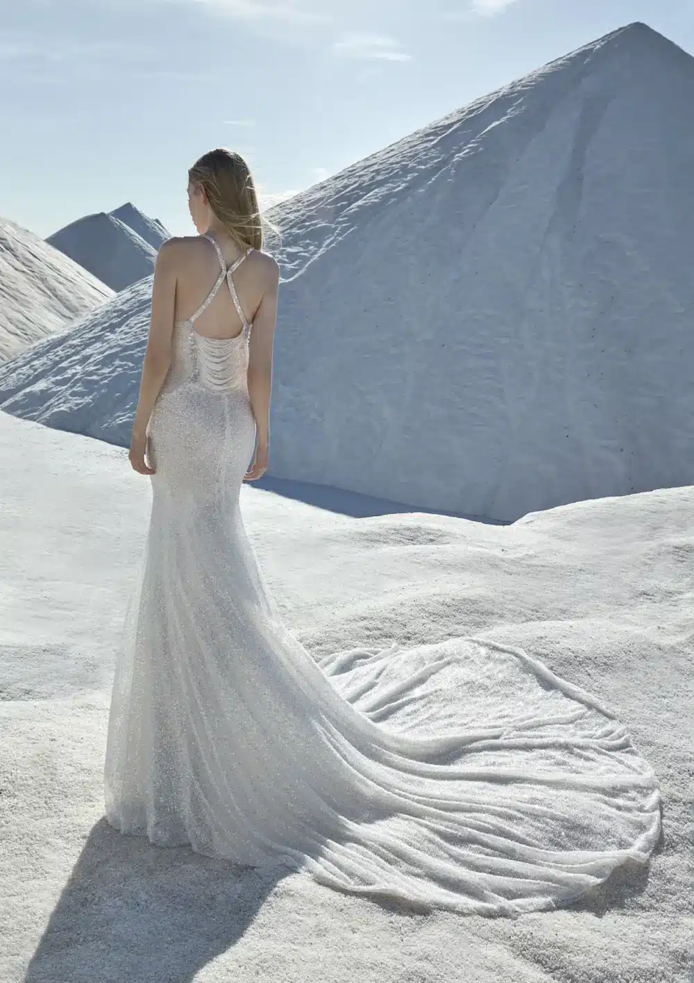 Atelier Pronovias Angelic